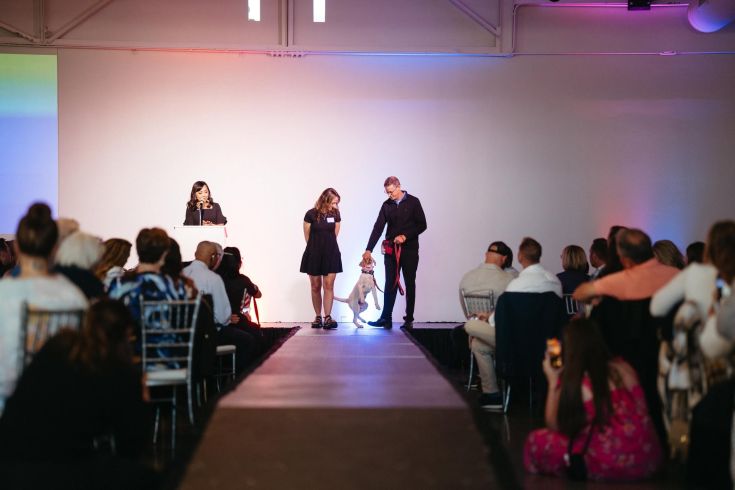 Puppy Jake Foundation: 2026 Gala Video Series